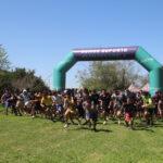 Cross Country, un desafío todoterreno