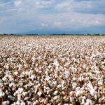 Siguen las mentiras, los sectores involucrados siguen desmintiendo los dichos del Gobierno