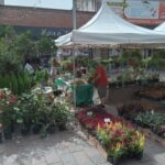 La Jornada Florícola llega a la Casa de la Provincia