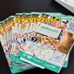 Curso básico de seguridad vial