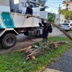 Mantenimiento integral en barrios varelenses