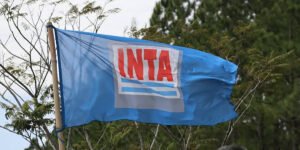 El desfinanciamiento del INTA: qué se pone en jaque y qué podría pasar