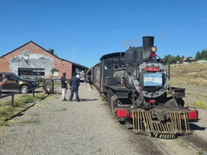 El tren centenario que aún recorre la Patagonia entre vapor, salamandras y paisajes de película